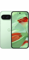 Google Pixel 9 128GB (Wintergreen, Android 14, Dual SIM, 12 GB)