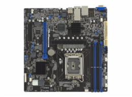 ASUS P13R-M/10G-2T - Základní deska - mikro ATX - zásuvka LGA1700 - C262 Cipová sada - USB-C 3.2 Gen2, USB 3.2 Gen 1 - 2 x 10 Gigabit LAN - vestavená grafika