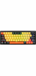 Tracer GAMEZONE EVO2