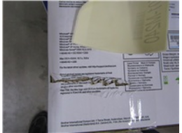 BAZAR - BROTHER tiskárna laserová mono HL-1110E - A4, 20ppm, 600x600, 1MB, GDI, USB 2.0, bílá - pošk. obal