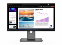 Lenovo ThinkVision P24Q-40 - LED monitor - 24" (23.8" zobrazitelný) - 2560 x 1440 QHD @ 120 Hz - IPS - 300 cd/m? - 1500:1 - HDR10 - 4 ms - HDMI, DisplayPort - havraní čerň