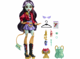 Mattel Monster High Jinafire Long (HYV58) Mattel Monster High Jinafire Long (HYV58)