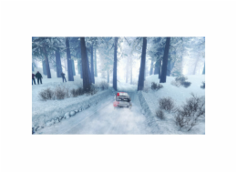WRC Generations [PS5]