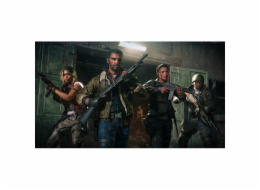 Call of Duty: Black Ops 6 [PS4]