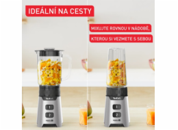 Tefal BL16GE30 