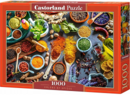 Castor 1000dílné puzzle Barevné koření