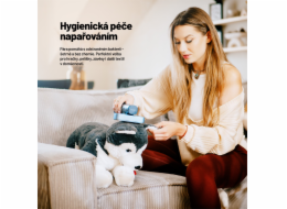 Lauben Handheld Steam Iron 1200GB