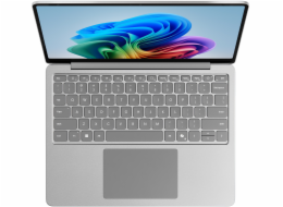 Microsoft Surface Laptop 13"/SD-X Plus/13"/1920x1280/T/24GB/1TB/Adreno/W11P/Platinum/2R