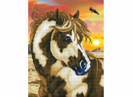 DIAMOND DOTZ Diamond Dotz diamantová výšivka s motivem strakatého koně 43,5x54cm DD9035