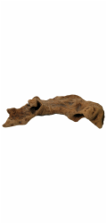 Lucky Reptile Opuwa Wood cca 10-30 cm