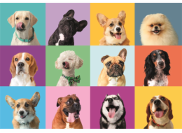 Clementoni - Puzzle 300 Legrační obličeje