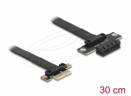 Delock&nbsp;-&nbsp;Riser&nbsp;karta