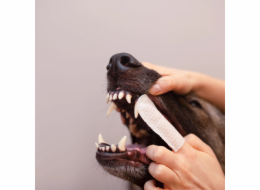 VetExpert Caryodent Finger Wipes - vitamíny pro psa - 100ml