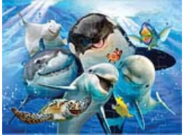 PRIME 3D PUZZLE - Selfie v oceánu 48 dílků