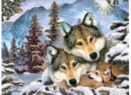 PRIME 3D PUZZLE - Vlci 100 dílků