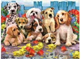 PRIME 3D PUZZLE - Psi 63 dílků