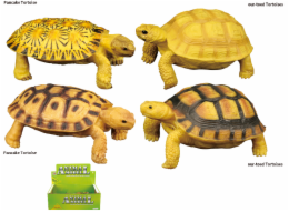 Zvířecí svět - Želva H54 4 druhy