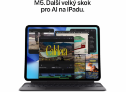 iPad Pro 13" Wi-Fi + Cellular 512 GB se standardním sklem – stříbrný