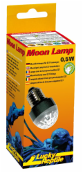 Lucky Reptile Moon Lamp