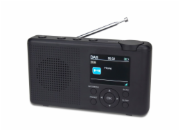 Reflexion TRA23DAB anthrazit/grau