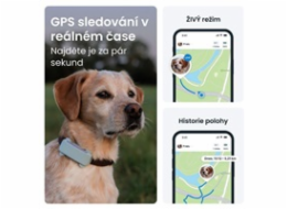 Tractive DOG 6 – GPS lokátor pro psy a monitor zdraví, mátový