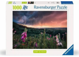 Ravensburger Polska Puzzle 1000 dílků Bouře se blíží