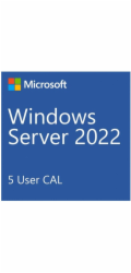 DELL Windows Server 2025 EssentialsNo MediaWS2022 Ess Downgrade w/DVD MediaMulti Lang Customer Kit