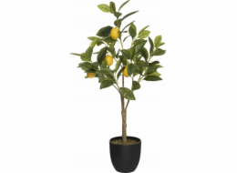Atmosphera Citroník - umělý, v květináči, výška 73 cm