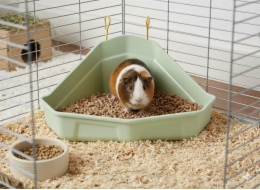 ZOLUX Cosy - rohová toaleta pro králíka a morče