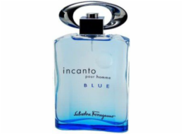 Salvatore Ferragamo Incanto Pour Homme Blue EDT 100 ml