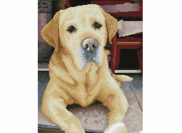 DIAMOND DOTZ Diamond Dotz diamantová výšivka diamantová mozaika Labrador King 48x58cm DQ10027
