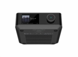 WiiM Amp Ultra, stříbrný