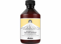 Davines Čisticí šampon pro pokožku hlavy s mokrými nebo suchými lupy 250 ml