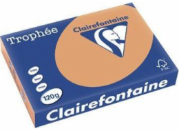 Trophee kopírovací papír A4 80g 500 listů