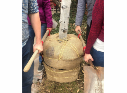 Stěhovací popruhy zahrada GARDENDOLLY M3060