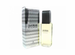 Antonio Puig Quorum Silver, EDT 100 ml
