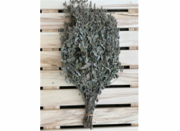 FLAMMIFERA šindel v průběhu roku