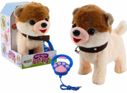 LeanToys Interaktivní pes na vodítku chodí, tančí, zpívá, bílá, béžová