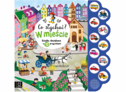 Aksjomat Co se děje? Ve městě Zvuk knihy 10button.39488