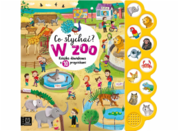 Aksjomat Co se děje? Zvuk knihy V ZOO 10 tlačítek.39471
