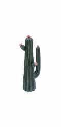 ATMOSPHERA Dekorativní figurka kaktusu PANAMA, 40 cm
