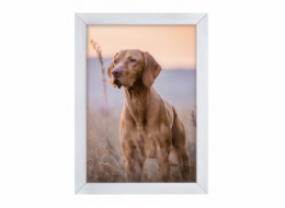 NoName Rám Woodflow FrameFlip A3 - bělené dřevo