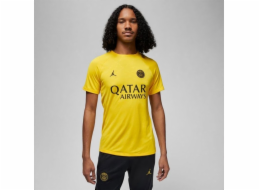 Nike Tričko PSG DF Academy Pro SS Top PM 4TH DR4906 720