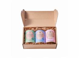 Dworzysk - Sada květin počasí