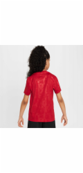 Nike Tričko Liverpool FC Academy Pro SS Jr FQ0013-688