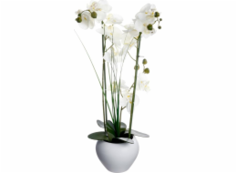 Atmosphera Orchidej v bílém květináči 53 cm