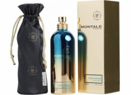 Montale&nbsp;Montale&nbsp;Aoud&nbsp;Lagoon&nbsp;100ml&nbsp;EDP