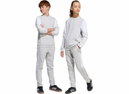 Adidas Dětské tepláky Squadra 25 šedé JD4823 152cm