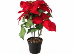 Boltze Vánoční dekorace s hvězdou