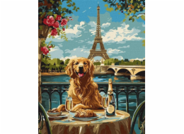 Norimpex Malování podle čísel - Retrívr v Paříži 40x50cm